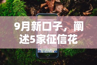 9月新口子，阐述5家征信花手机上贷款软件
