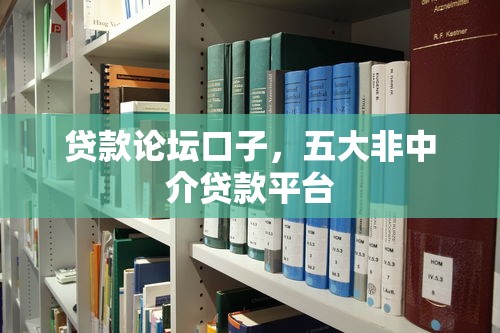 贷款论坛口子，五大非中介贷款平台