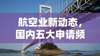 航空业新动态，国内五大申请频繁被风控能下的口子