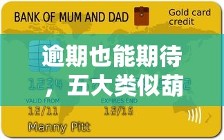 逾期也能期待，五大类似葫芦花借款的平台