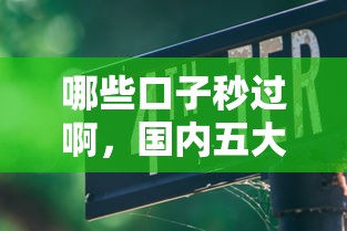 哪些口子秒过啊，国内五大有法院执行可以贷款的口子