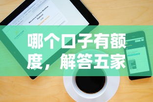 哪个口子有额度，解答五家哪些网贷平台不上征信