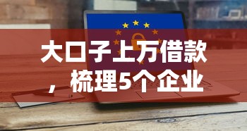 大口子上万借款，梳理5个企业贷款平台