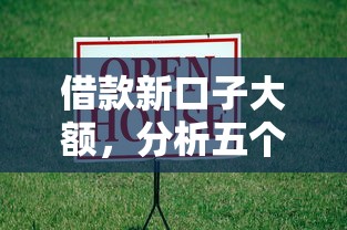 借款新口子大额，分析五个加盟贷款平台做代理