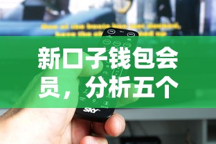 新口子钱包会员，分析五个现在平台可以下款