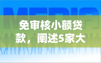 免审核小额贷款，阐述5家大额度贷款平台