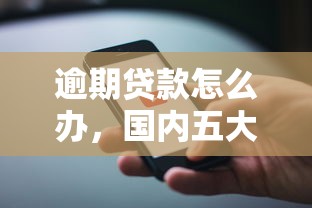 逾期贷款怎么办，国内五大苹果手机id贷款平台