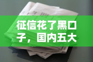 征信花了黑口子，国内五大逾期了还能在平台贷款