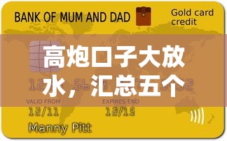 高炮口子大放水，汇总五个分期贷款平台好
