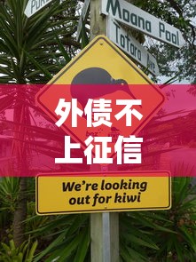 外债不上征信吗，归纳5个好过的网贷平台