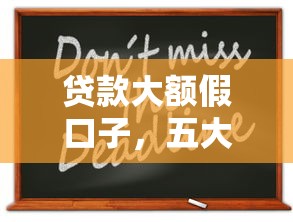 贷款大额假口子，五大口子贷款