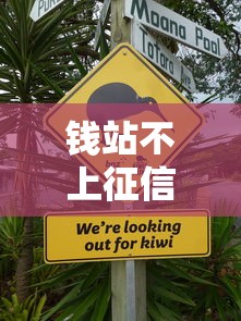 钱站不上征信吧，分享五个18岁的贷款平台