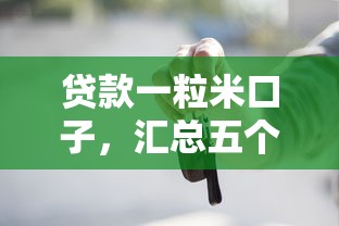 贷款一粒米口子，汇总五个按揭车贷款平台