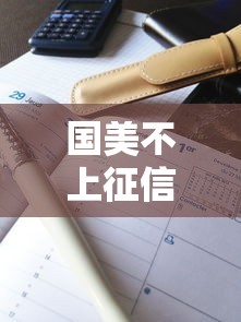 国美不上征信吗，解答五家小微贷款平台