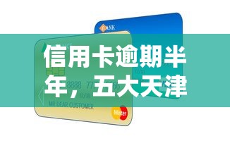 信用卡逾期半年，五大天津贷款平台