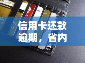 信用卡还款逾期，省内五个借款平台可以贷款20万