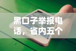 黑口子举报电话，省内五个微信能贷款的平台