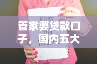 管家婆贷款口子，国内五大类似于贝乐享的口子