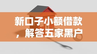 新口子小额借款，解答五家黑户也能贷的平台