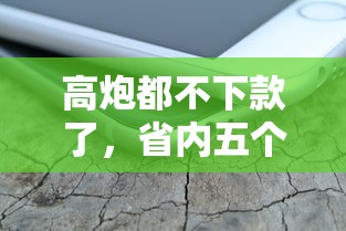 白条分期怎么借钱？要正规平台快速到账的