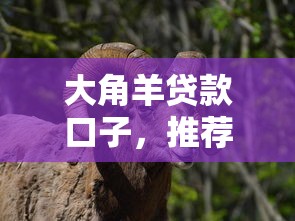 松原借款口子论坛，省内五个黑户放款都有什么口子