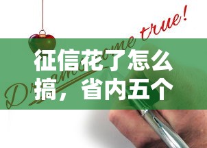 征信花了怎么搞，省内五个线下贷款平台