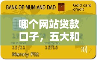 哪个网站贷款口子，五大和信用飞一样好下款的口子