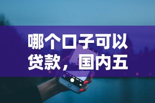 哪个口子可以贷款，国内五大晚上秒下款的高炮口子