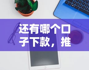 还有哪个口子下款，推荐五个夜间秒下款的14天口子