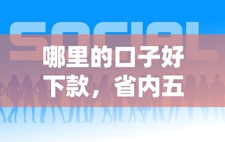 哪里的口子好下款，省内五个网贷那些是正规平台