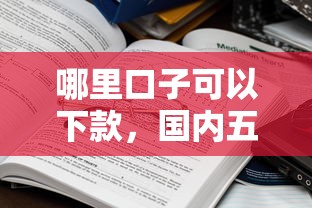 哪里口子可以下款，国内五大征信有问题平台可以贷款