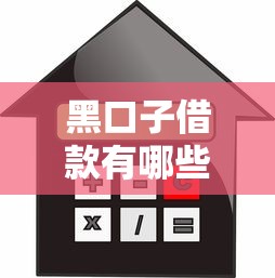 黑口子借款有哪些，归纳5个低息贷款平台