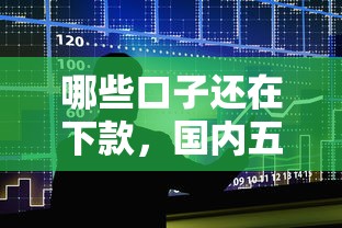 哪些口子还在下款，国内五大小微金融贷款平台
