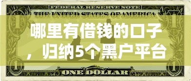 哪里有借钱的口子，归纳5个黑户平台最容易借到钱