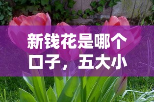 2025无视征信黑口子秒下款
