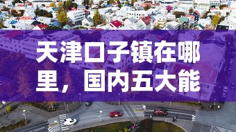 天津口子镇在哪里，国内五大能借到钱的网贷平台