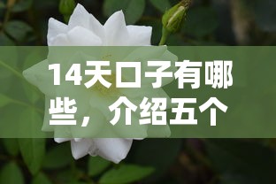 14天口子有哪些，介绍五个类似葫芦花借款的平台