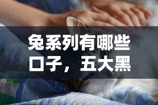 征信花也能稳下款的2025年必备这5个！本篇为您深入严选！