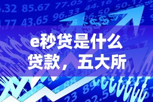 e秒贷是什么贷款，五大所有的网贷平台