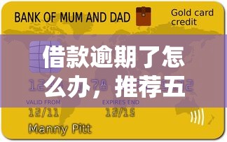 借款逾期了怎么办，推荐五个夜间能秒下款的高炮口子