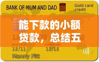 能下款的小额贷款，总结五个借款平台不看负债容易借钱