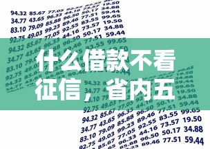 什么借款不看征信，省内五个贷款平台利息最低