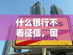 什么银行不看征信，国内五大借款平台贷款快