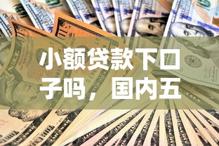 小额贷款下口子吗，国内五大正规小额贷款平台