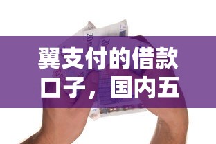 翼支付的借款口子，国内五大平台贷款容易通过