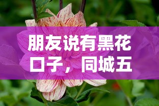 朋友说有黑花口子,同城五个花户黑户秒下的口子 朋友说有黑花口子,同城五个花户黑户秒下的口子