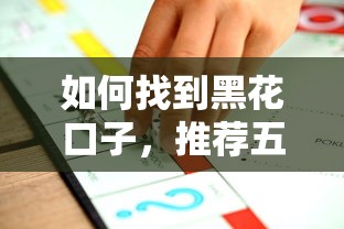 如何找到黑花口子，推荐五个最新口子不看征信的