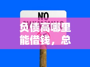 负债高哪里能借钱，总结五个平台贷款一定下得来