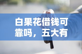 白果花借钱可靠吗，五大有车贷款平台