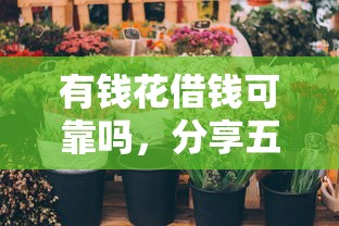 有钱花借钱可靠吗，分享五个有适合60一65岁的贷款平台